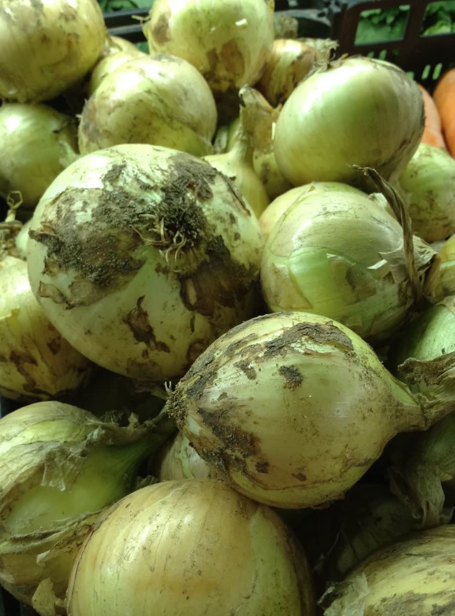 Cebolas no Mercado da Forca