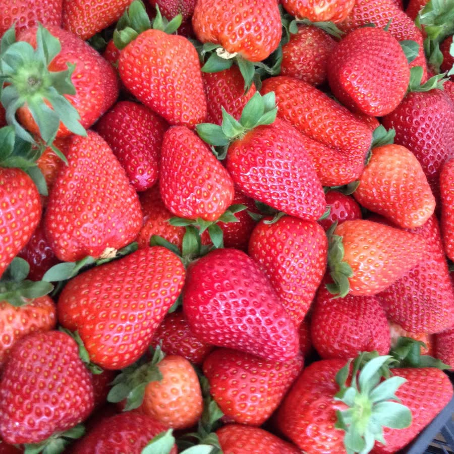 Morangos no Mercado da Forca